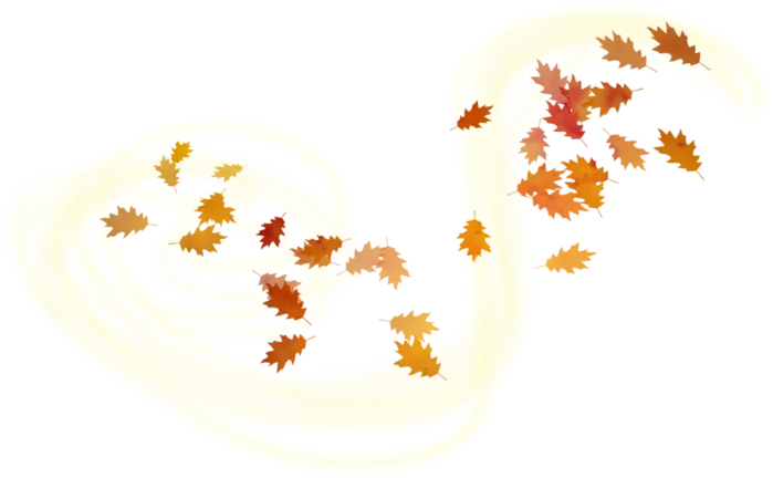 Falling Autumn Leaves