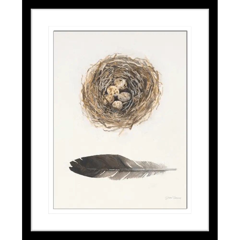 Illustration of Bird Nest with Eggs and Feather