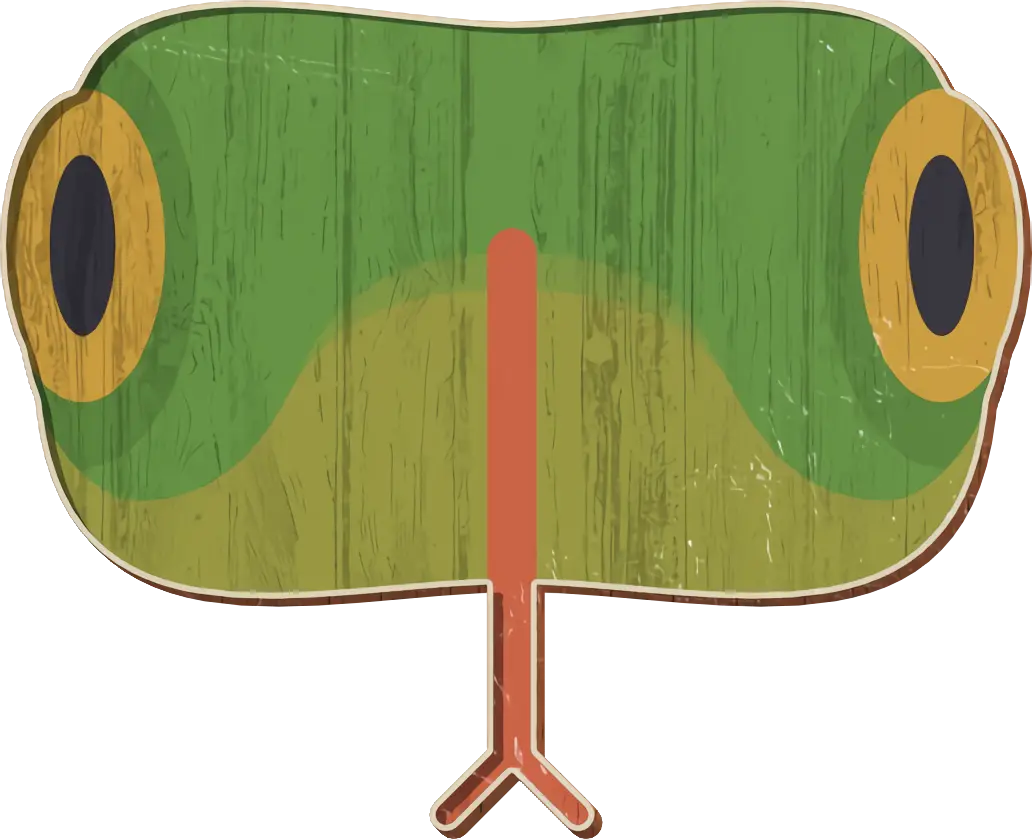 Frog Face Illustration