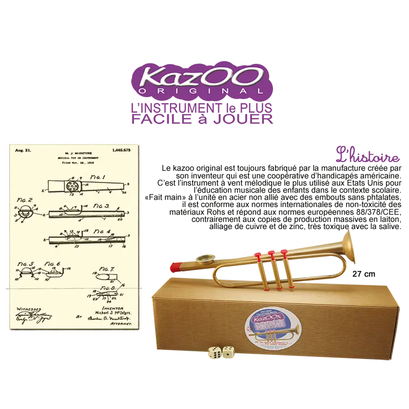 Kazoo Musical Instrument