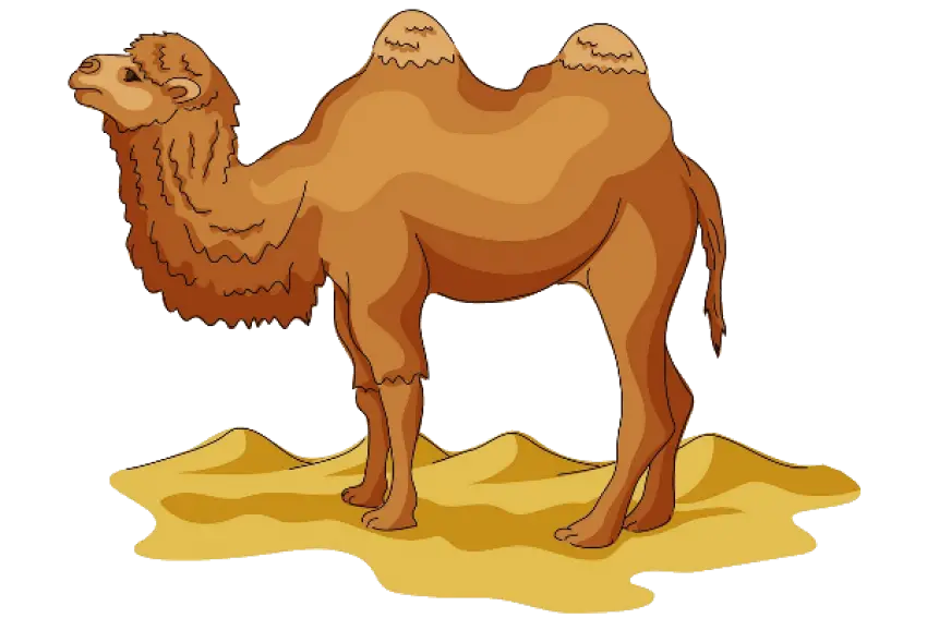 Cartoon Camel in Desert Illustration