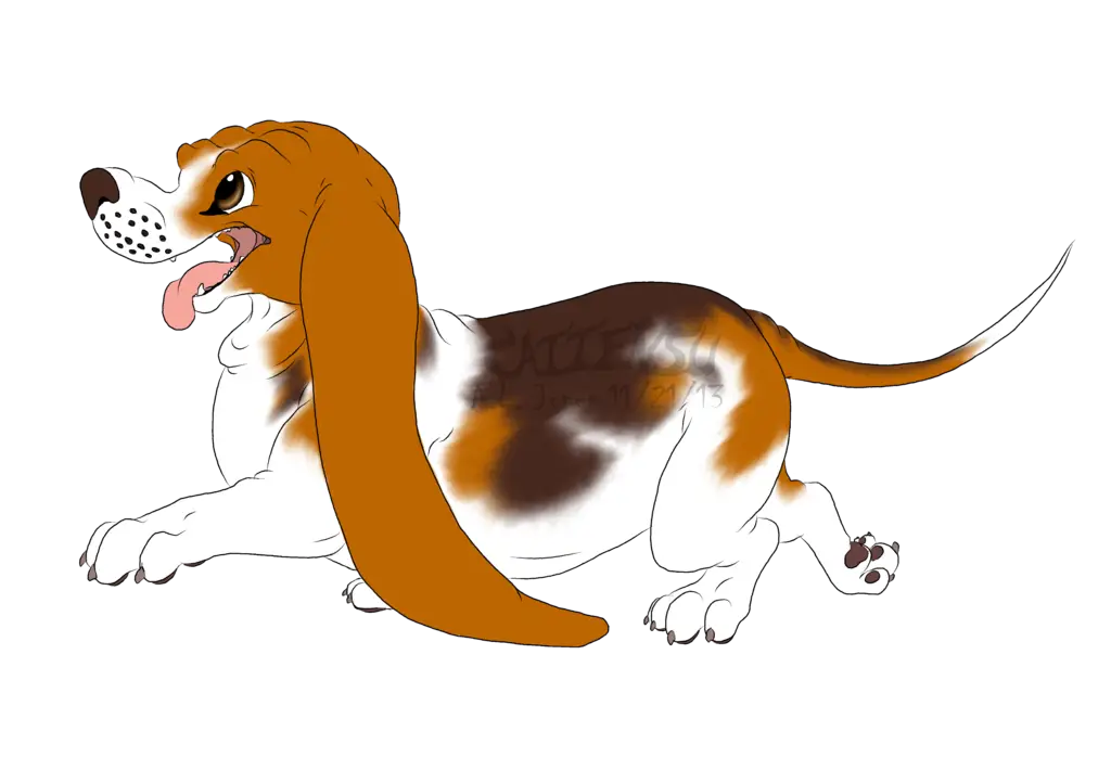 Cartoon Basset Hound Illustration