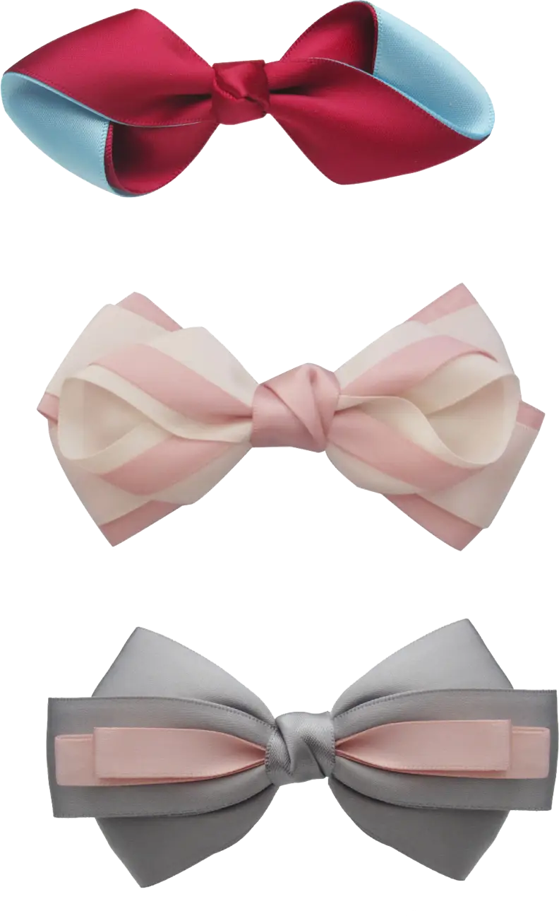 Set of Decorative Ribbons and Bows