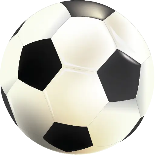 Classic Black and White Soccer Ball