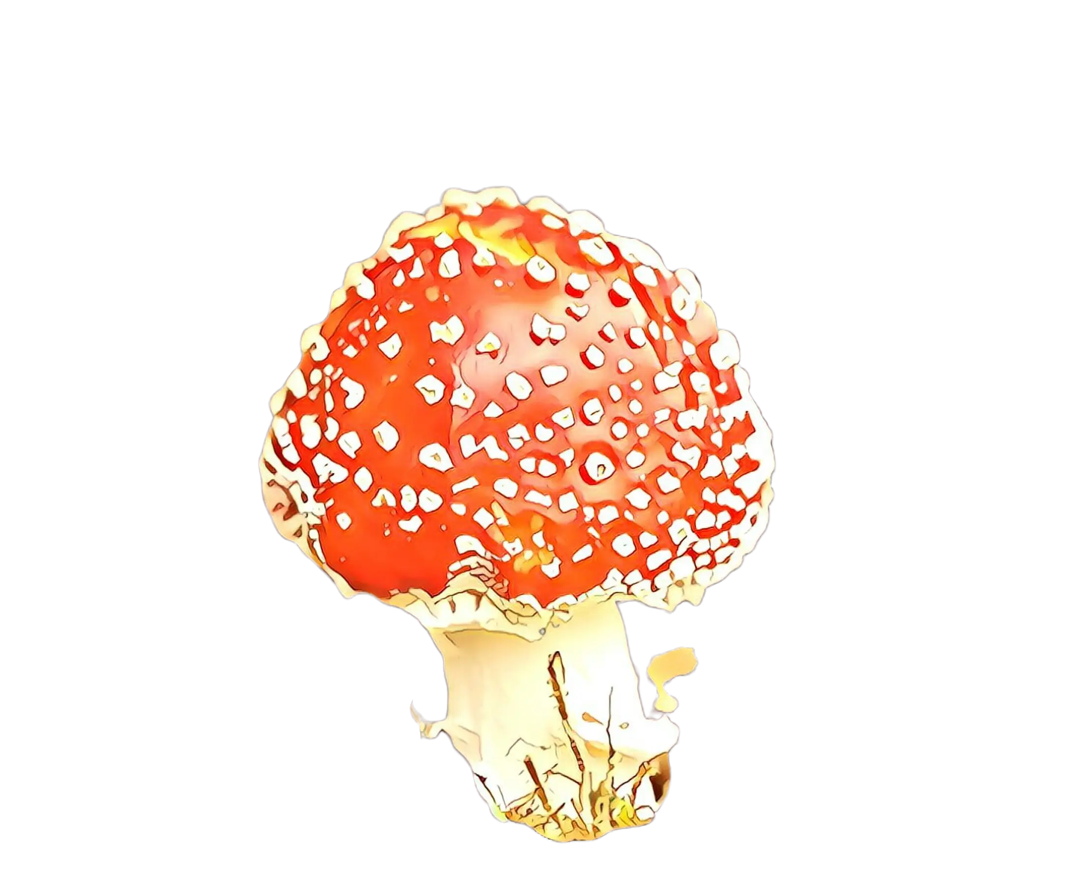 Red Mushroom Illustration Design