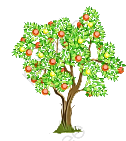 Apple Tree with Ripe Red and Yellow Apples
