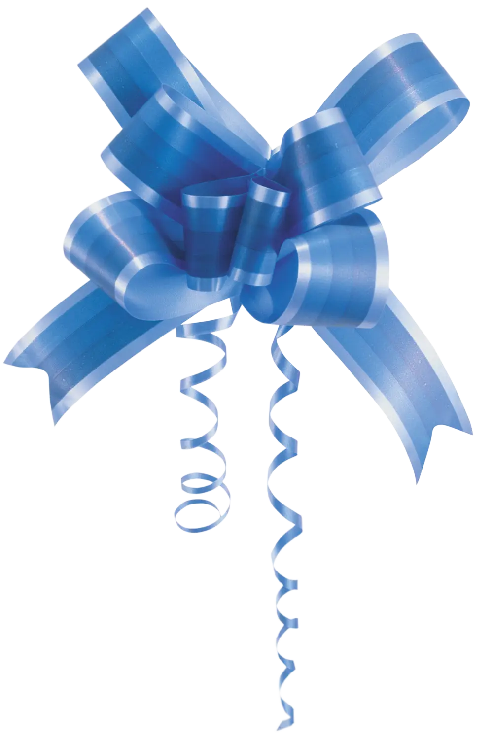Decorative Blue Ribbon Bow