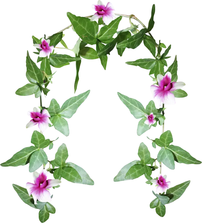 Beautiful Flower Garland Decoration