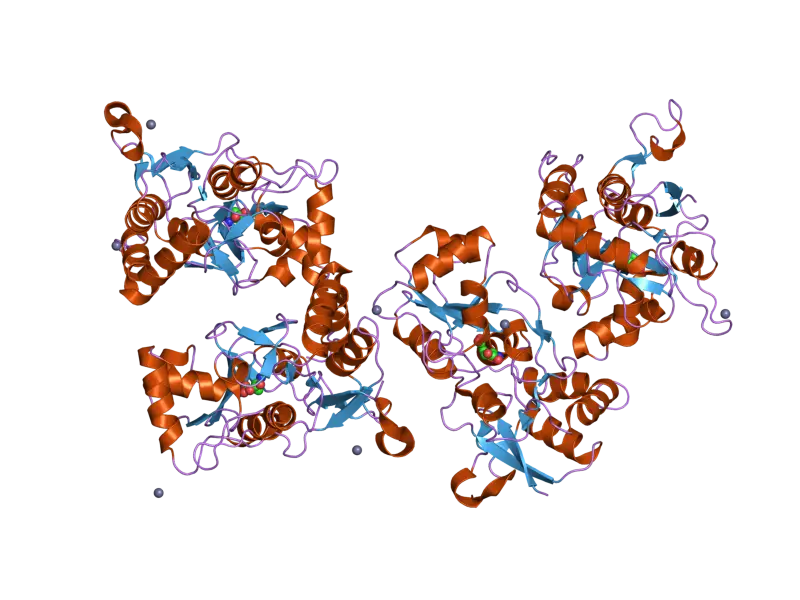 Visualization of Protein Molecular Structure