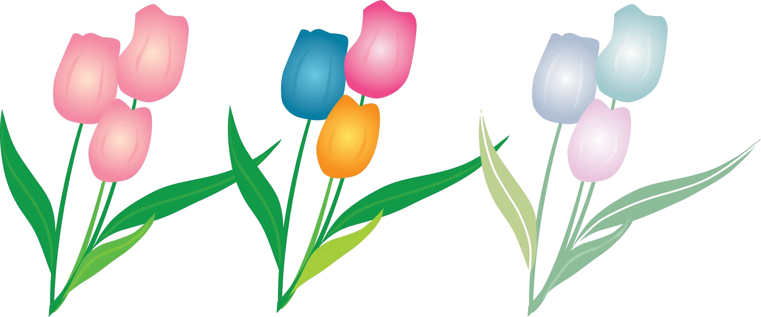 Illustration of Colorful Tulip Flowers