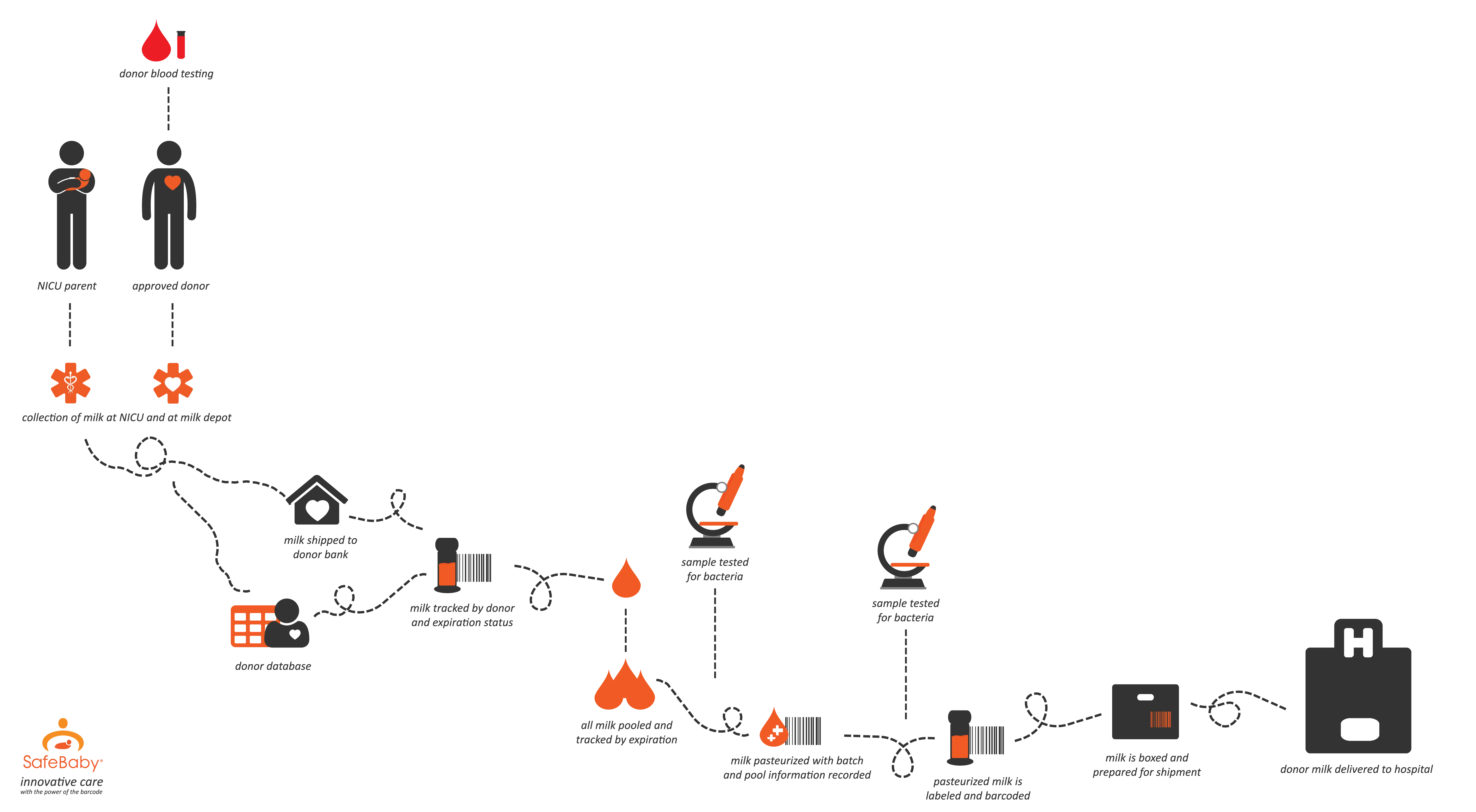 Medical Process from Diagnosis to Treatment