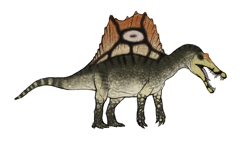 Spinosaurus Dinosaur Illustration