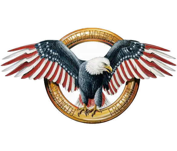 American Flag Eagle