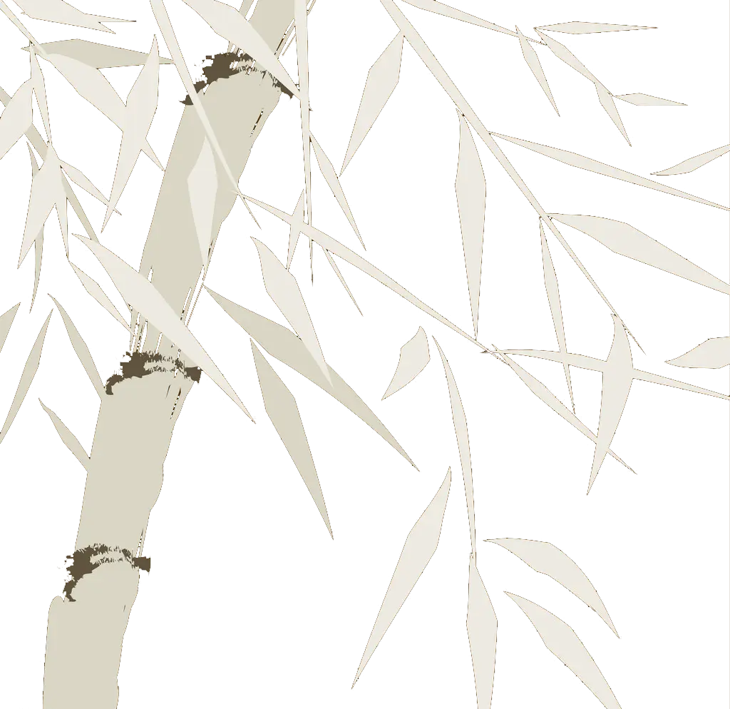 Bamboo Branches Nature Illustration