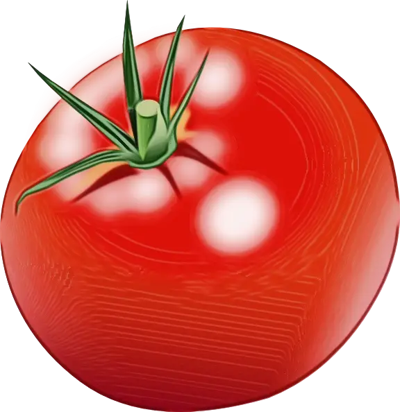 Fresh and Juicy Red Tomato Illustration