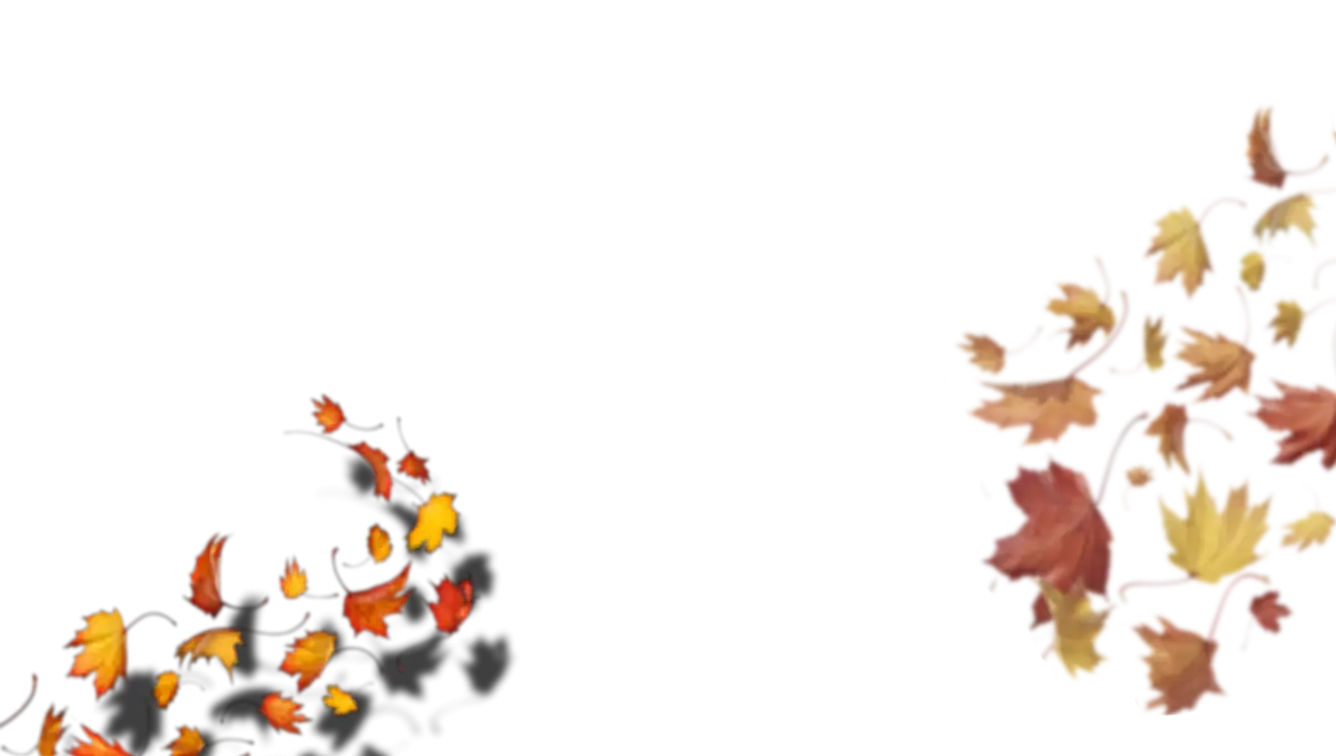 Autumn Leaves Illustration with Fall Aesthetic