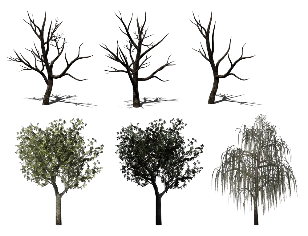 Various Types of Trees