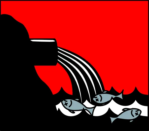 Water Pollution with Dead Fish