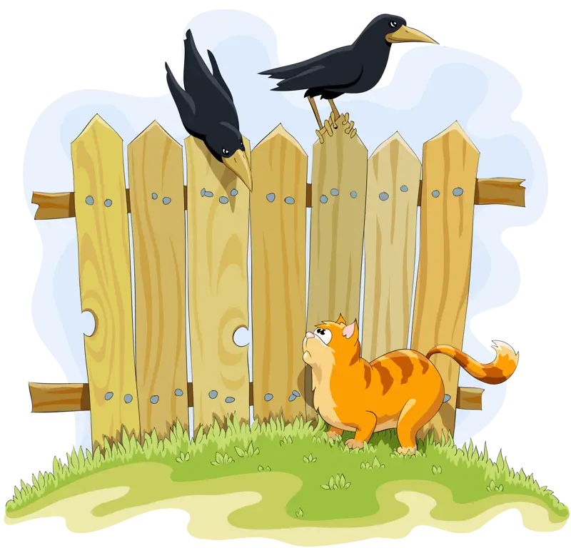 Cat and Crows on Fence