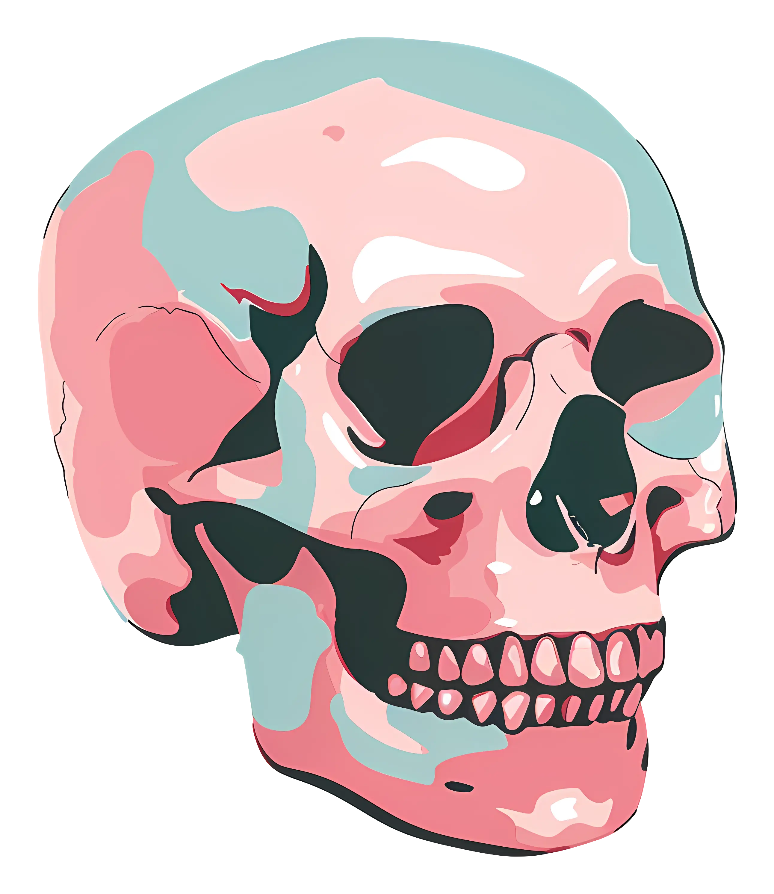 Artistic Pink and Blue Skull Illustration