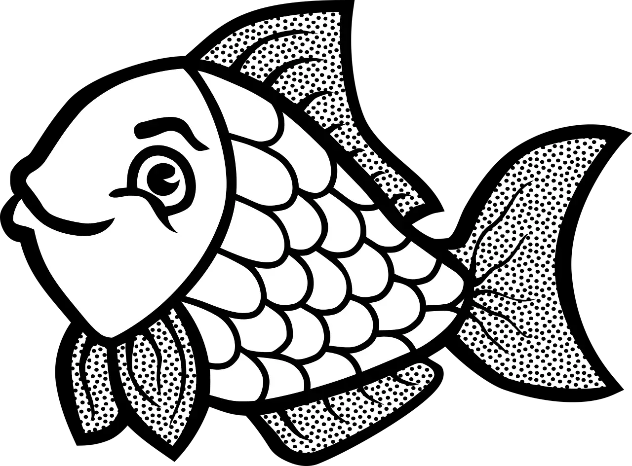 Black and White Fish Outline Drawing