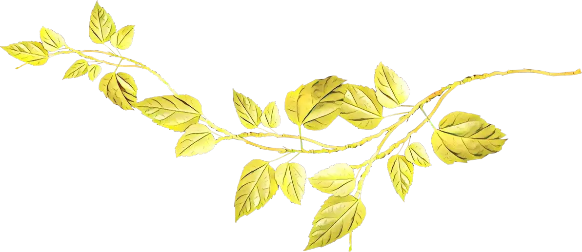 Golden Vine Leaves Illustration