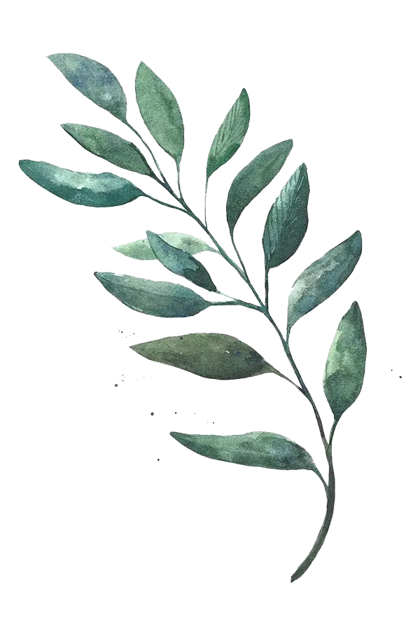 Delicate Watercolor Green Leaf Design
