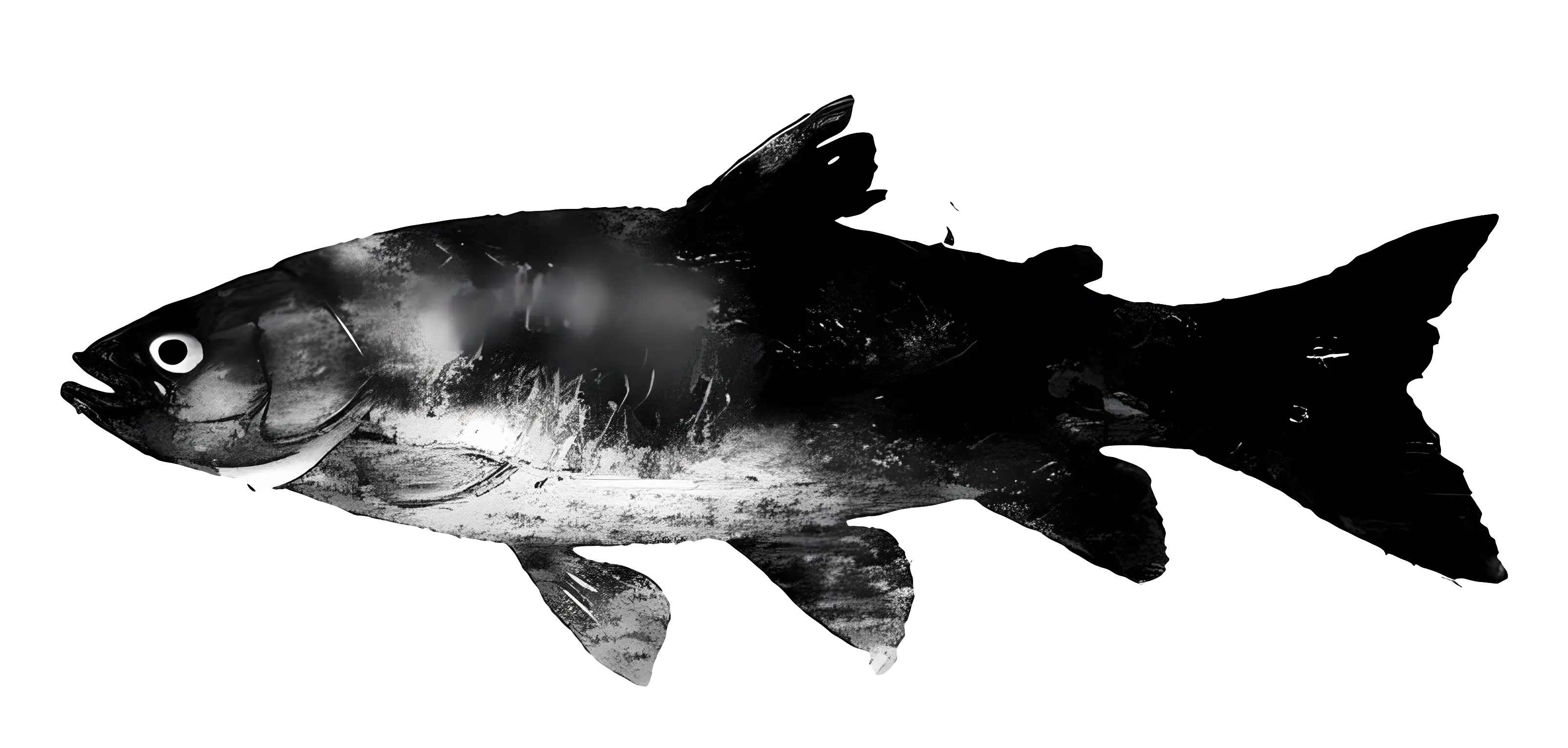 Black Fish Silhouette Design