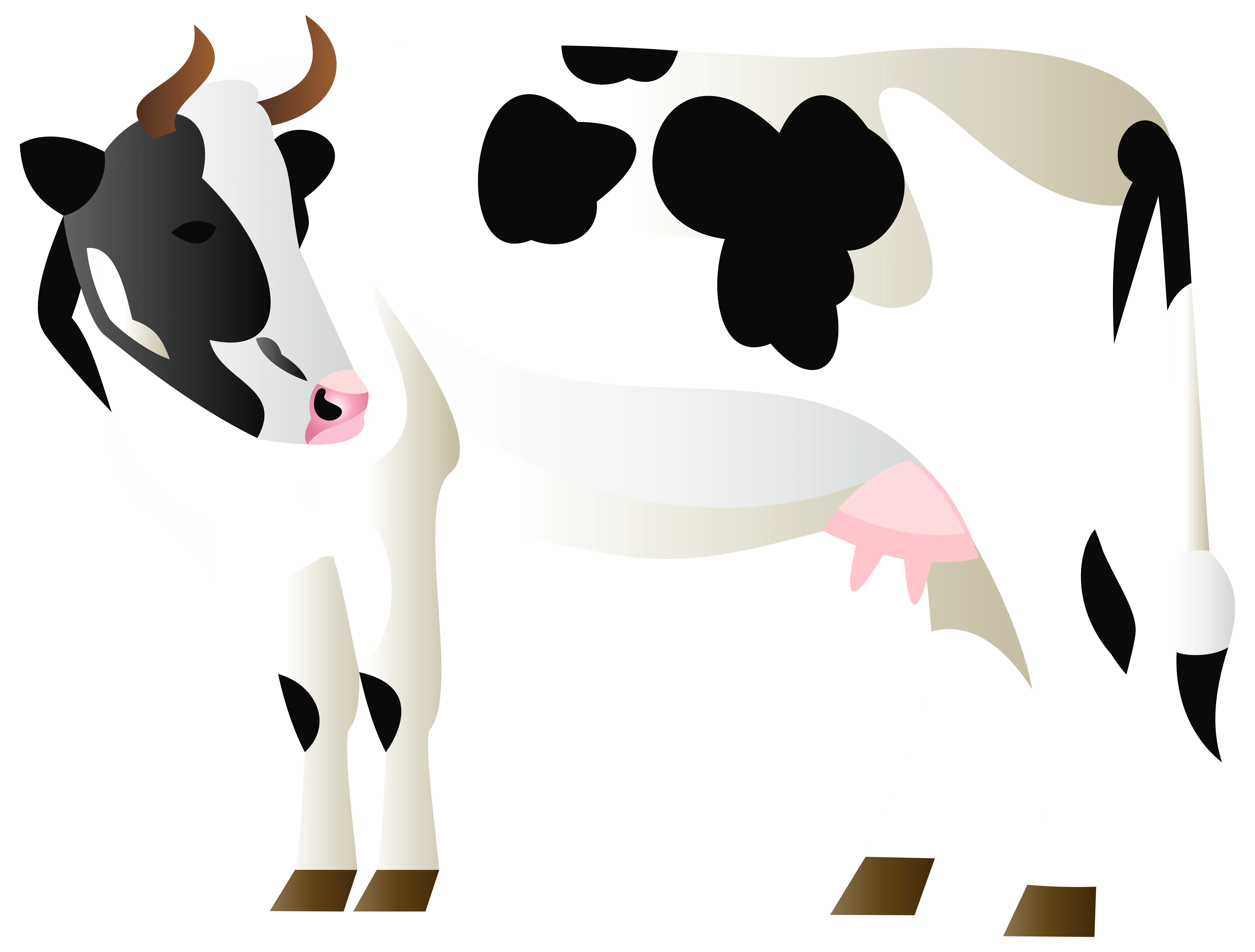 Cartoon Cow Illustration