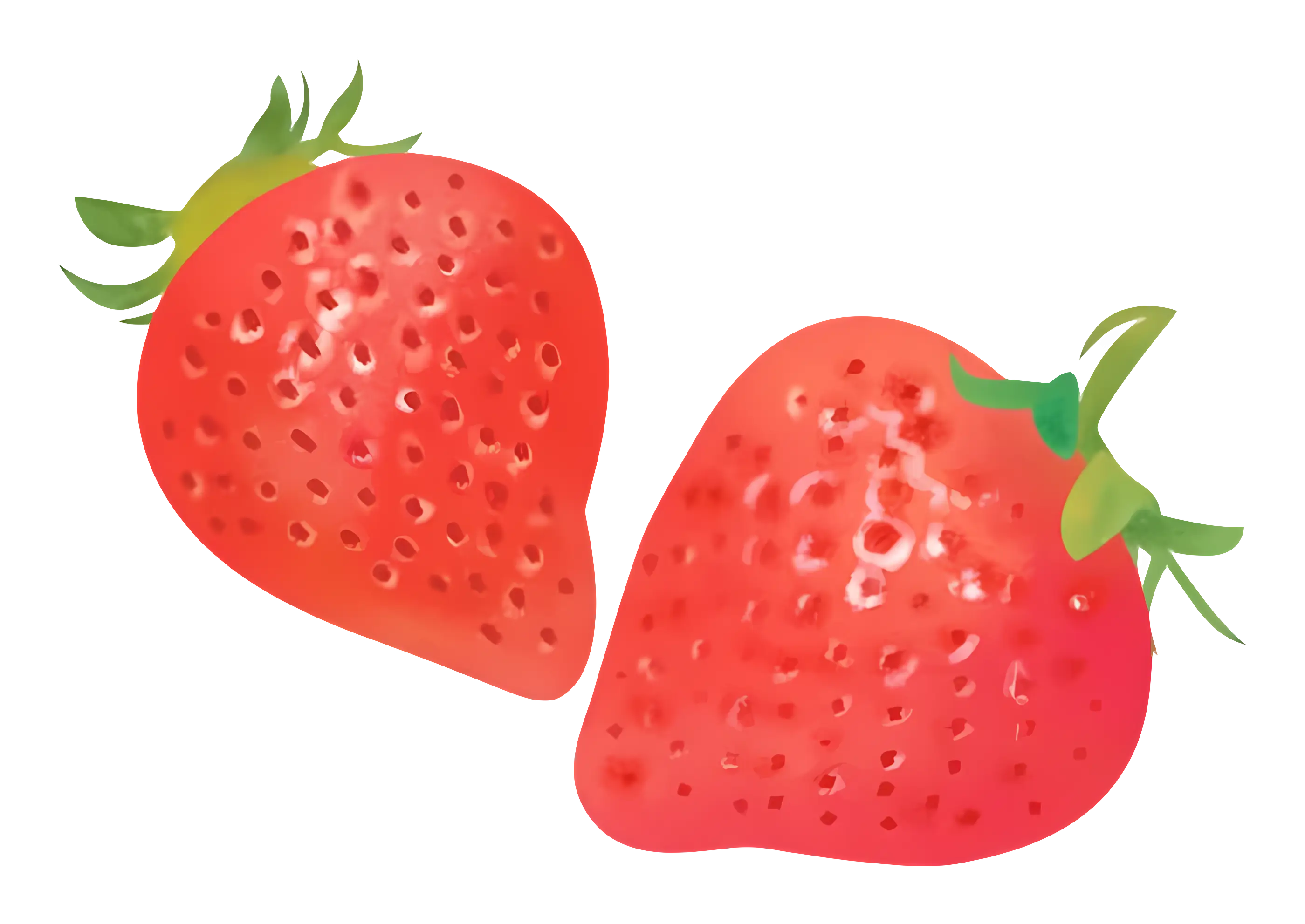Bright Red Strawberries Illustration