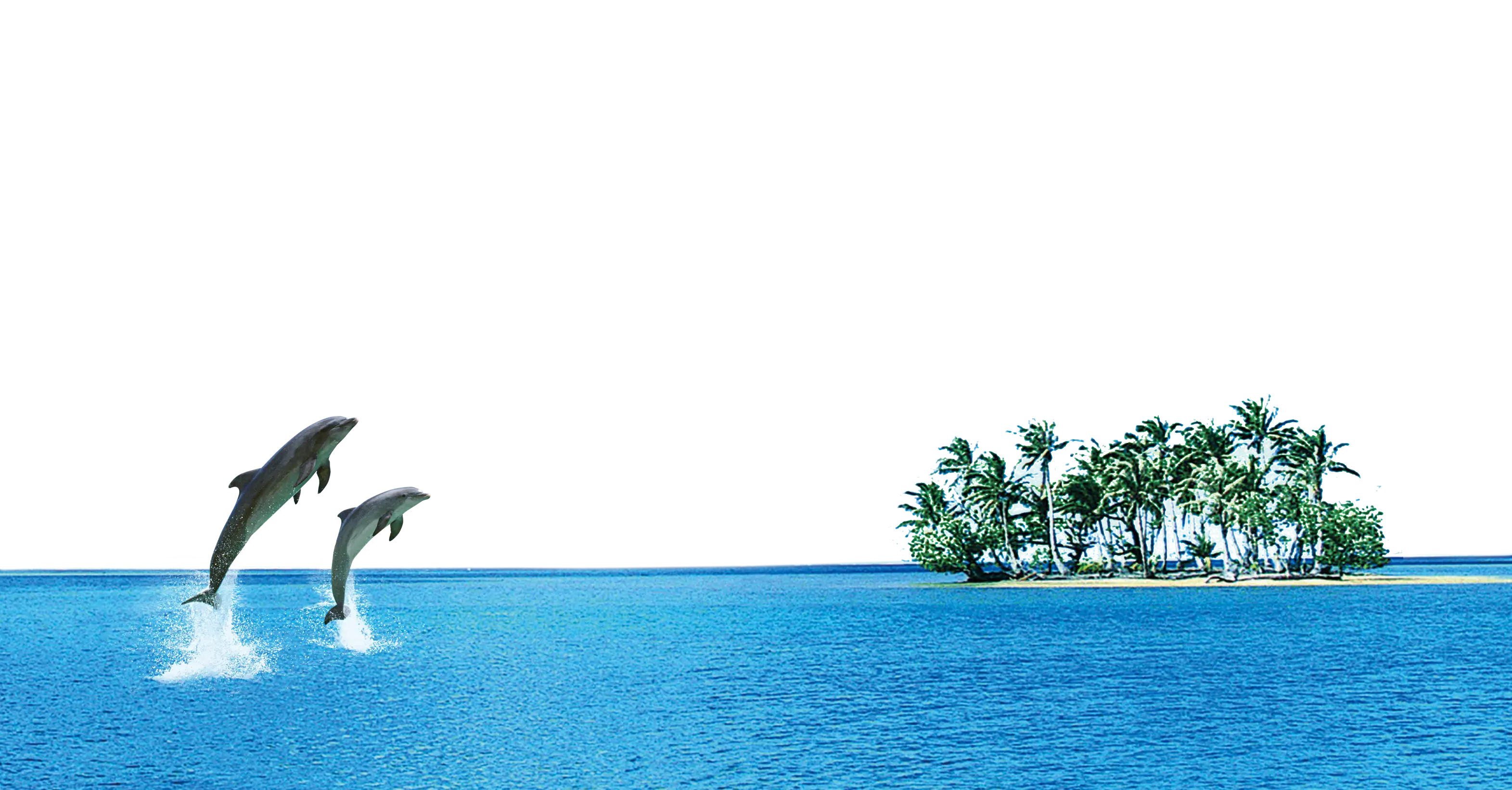 Dolphins Jumping Near Tropical Island