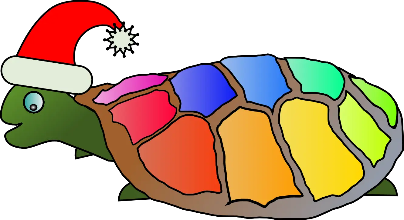 Colorful Tortoise with Christmas Hat