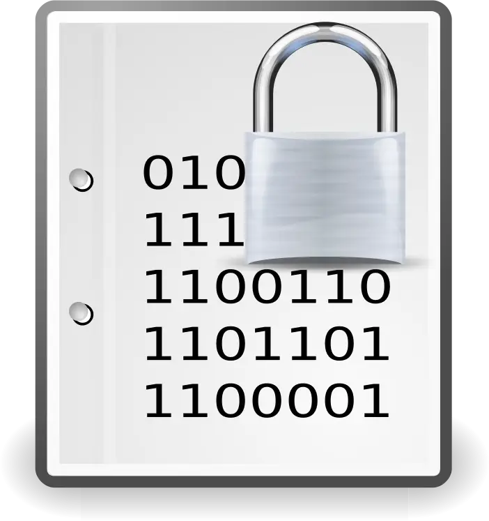 Data Encryption Icon with Lock and Code