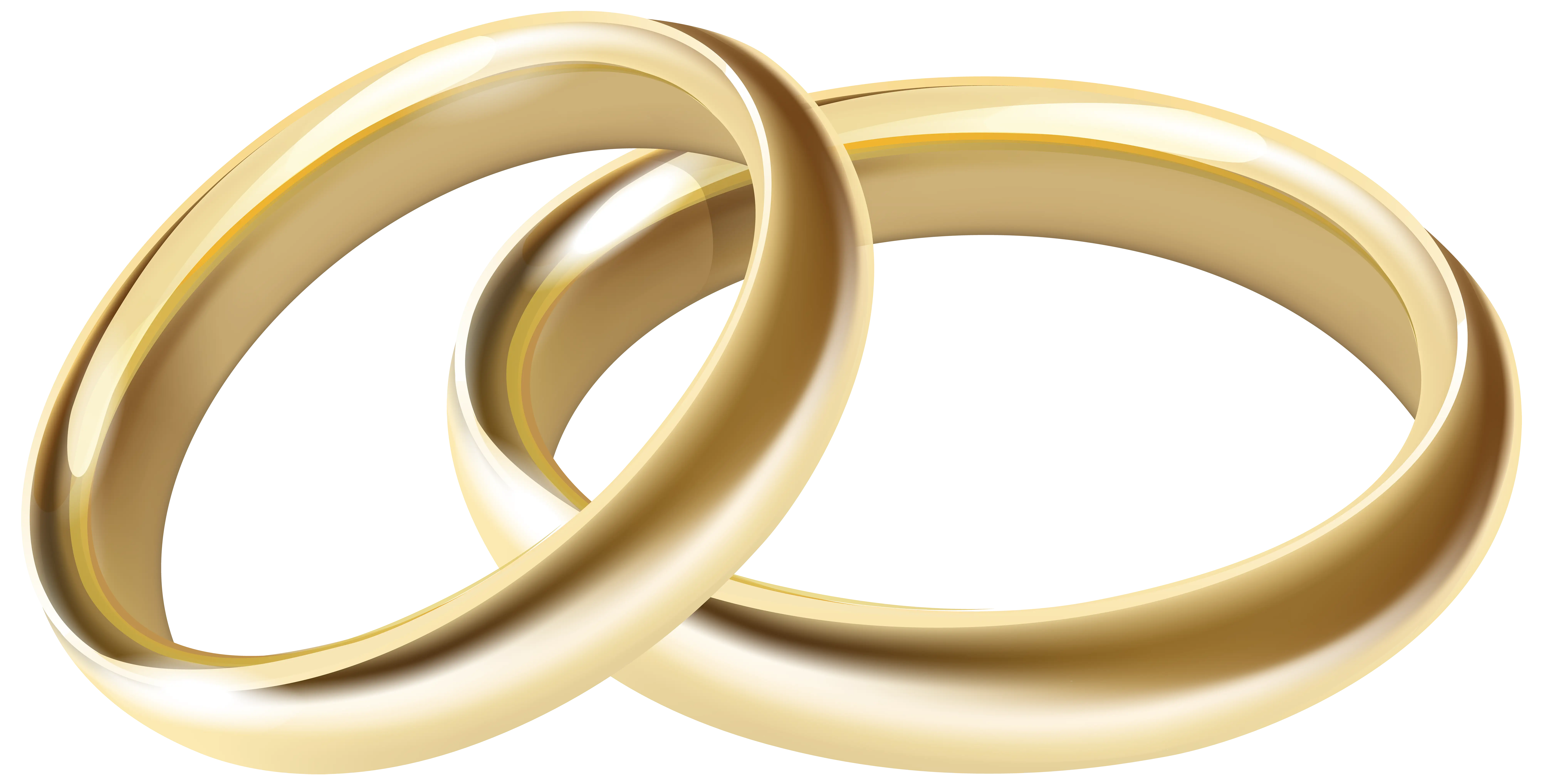 Gold Wedding Rings Illustration