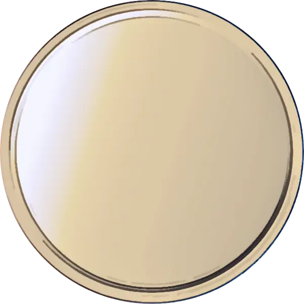 Shiny Gold Coin Illustration