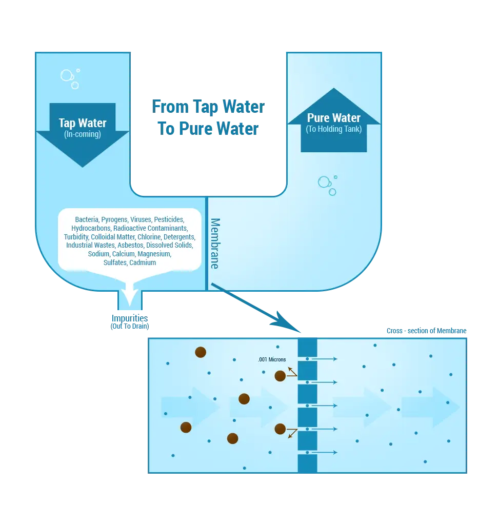 Water Purification Process Diagram