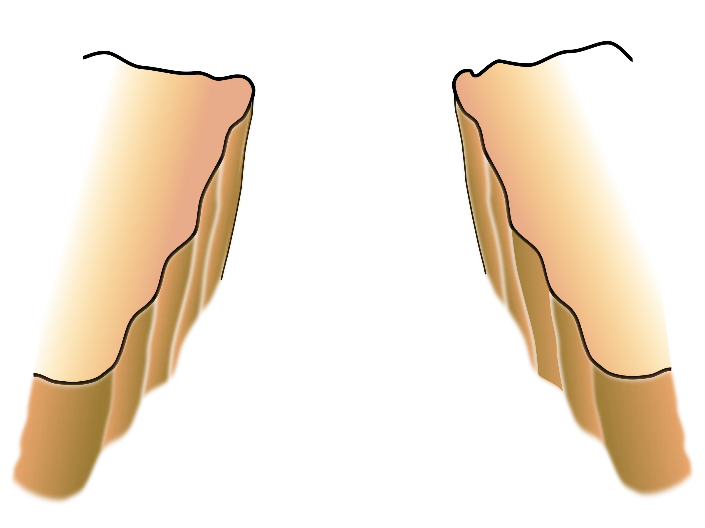 Illustration of a Tasty Taco