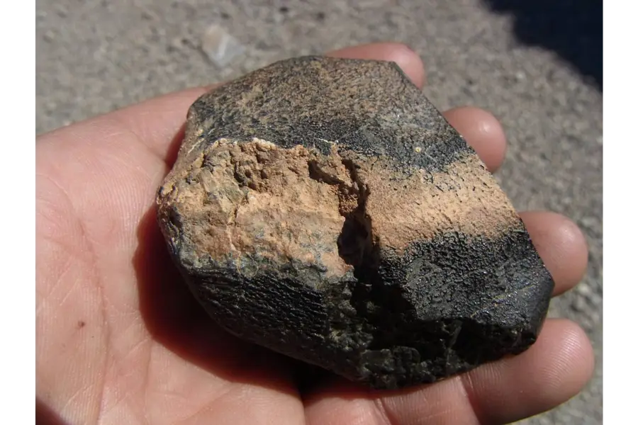 Hand Holding a Meteorite
