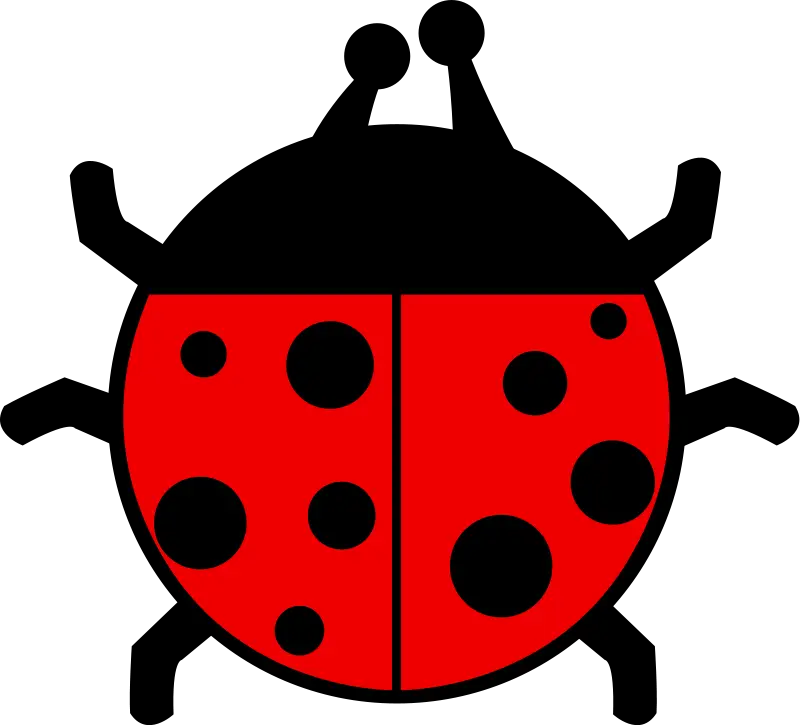 Cute Ladybug Illustration