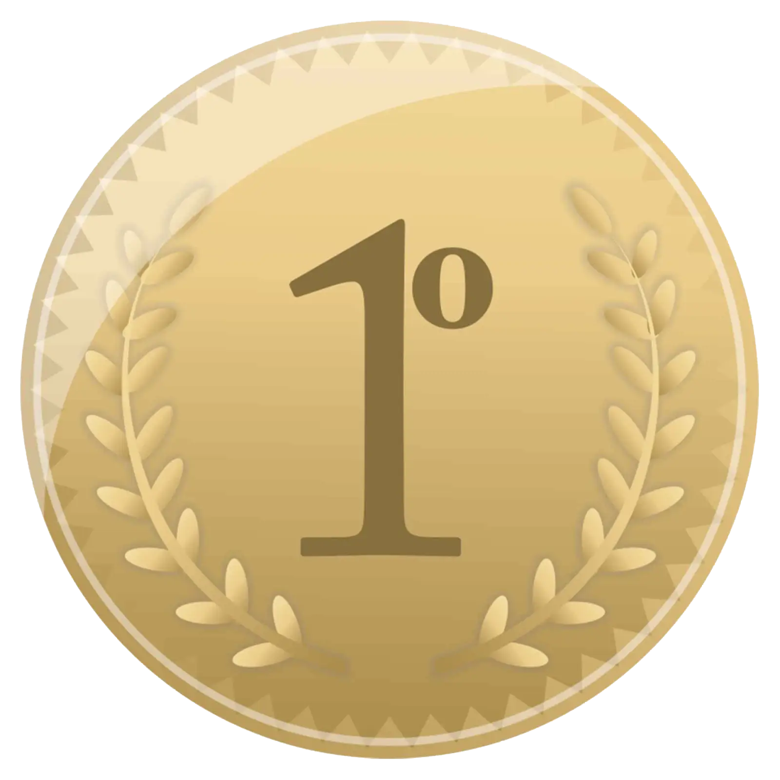 1st Place Gold Medal for Recognition