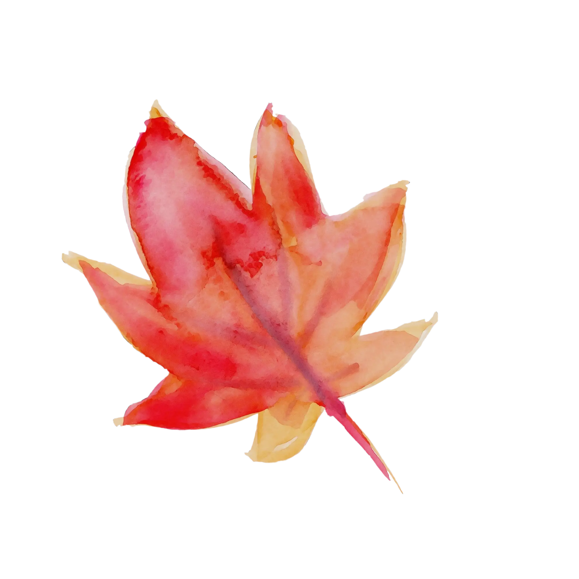 Vibrant Red Autumn Leaf Illustration