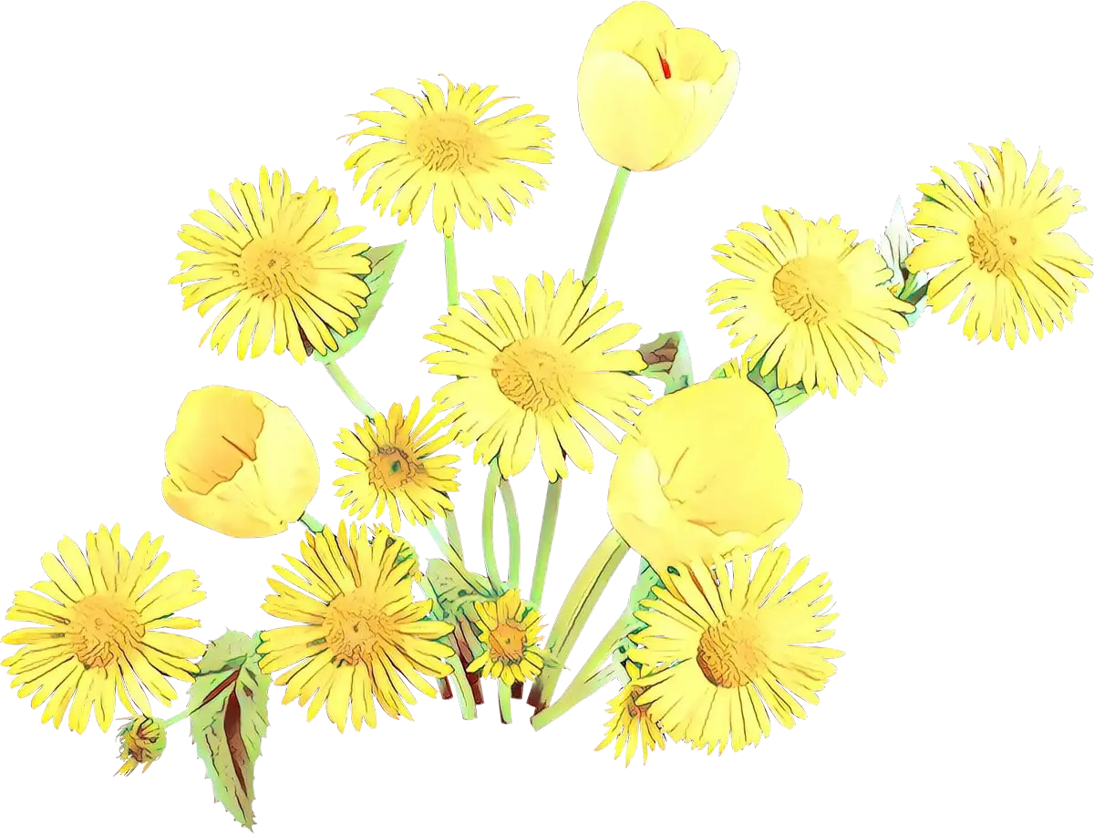 Yellow Dandelions and Blossoms