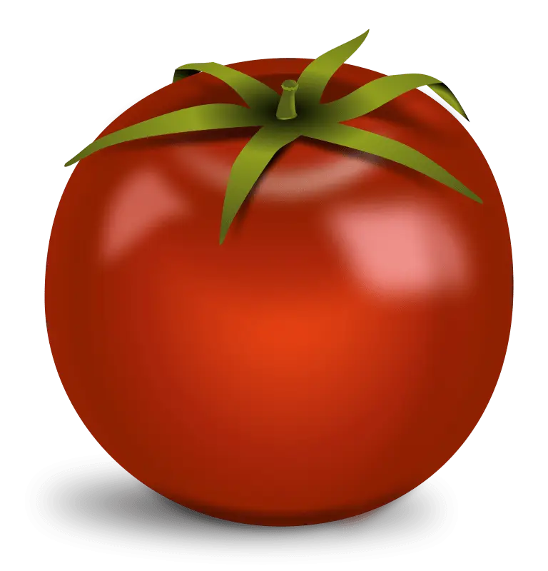 Fresh Red Tomato Illustration