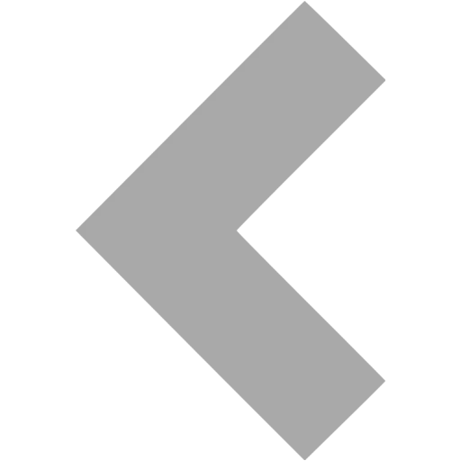 Minimalistic Left Arrow Symbol