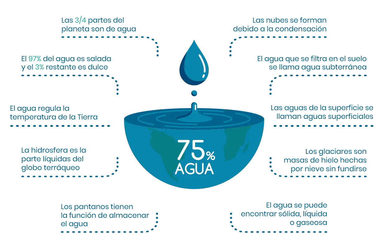 Water Usage Infographic