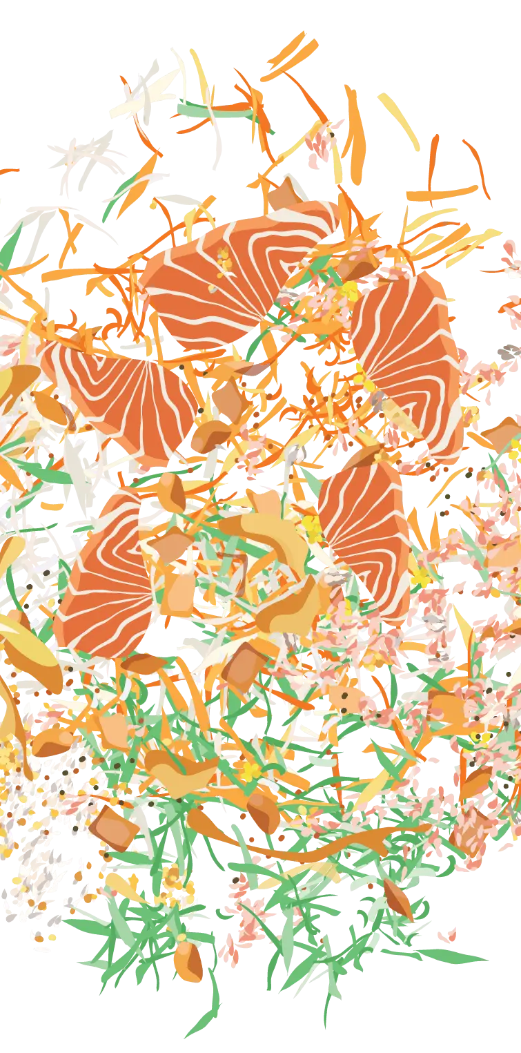 Salmon and Vegetables Illustration