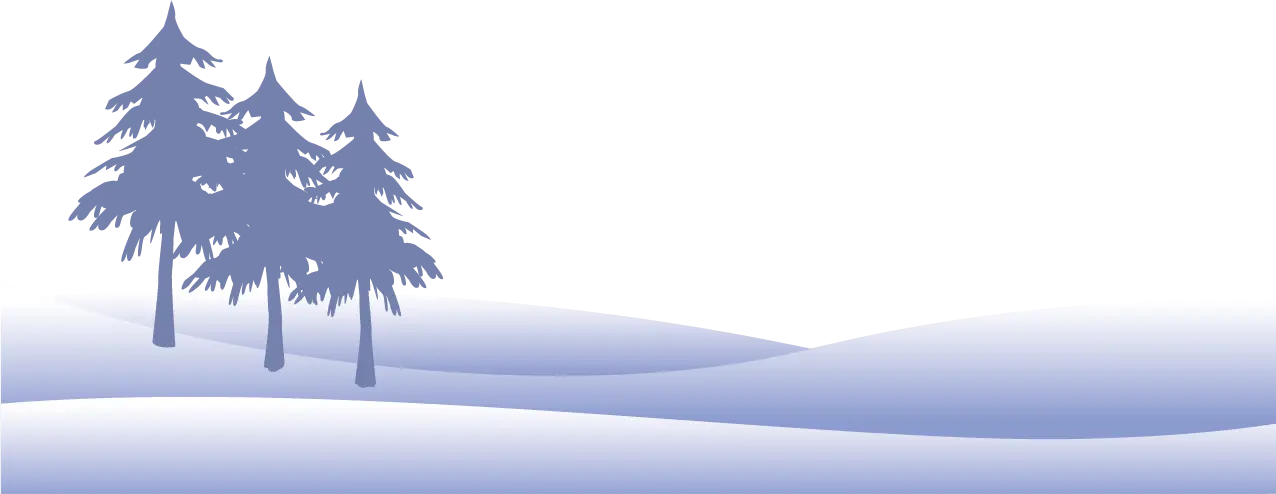 Peaceful Winter Landscape with Pine Trees
