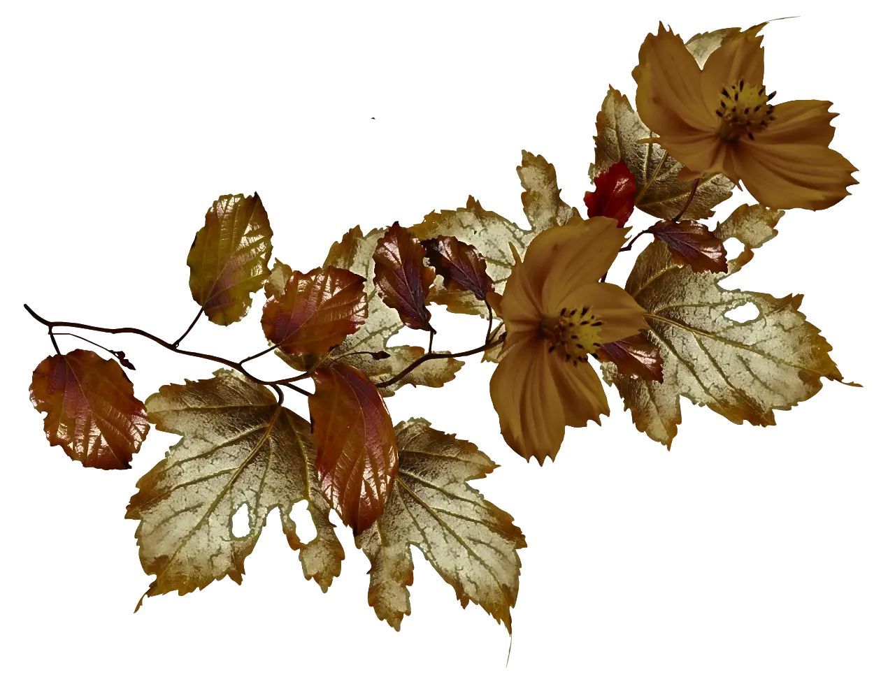 Autumn Leaves with Warm Flowers Illustration