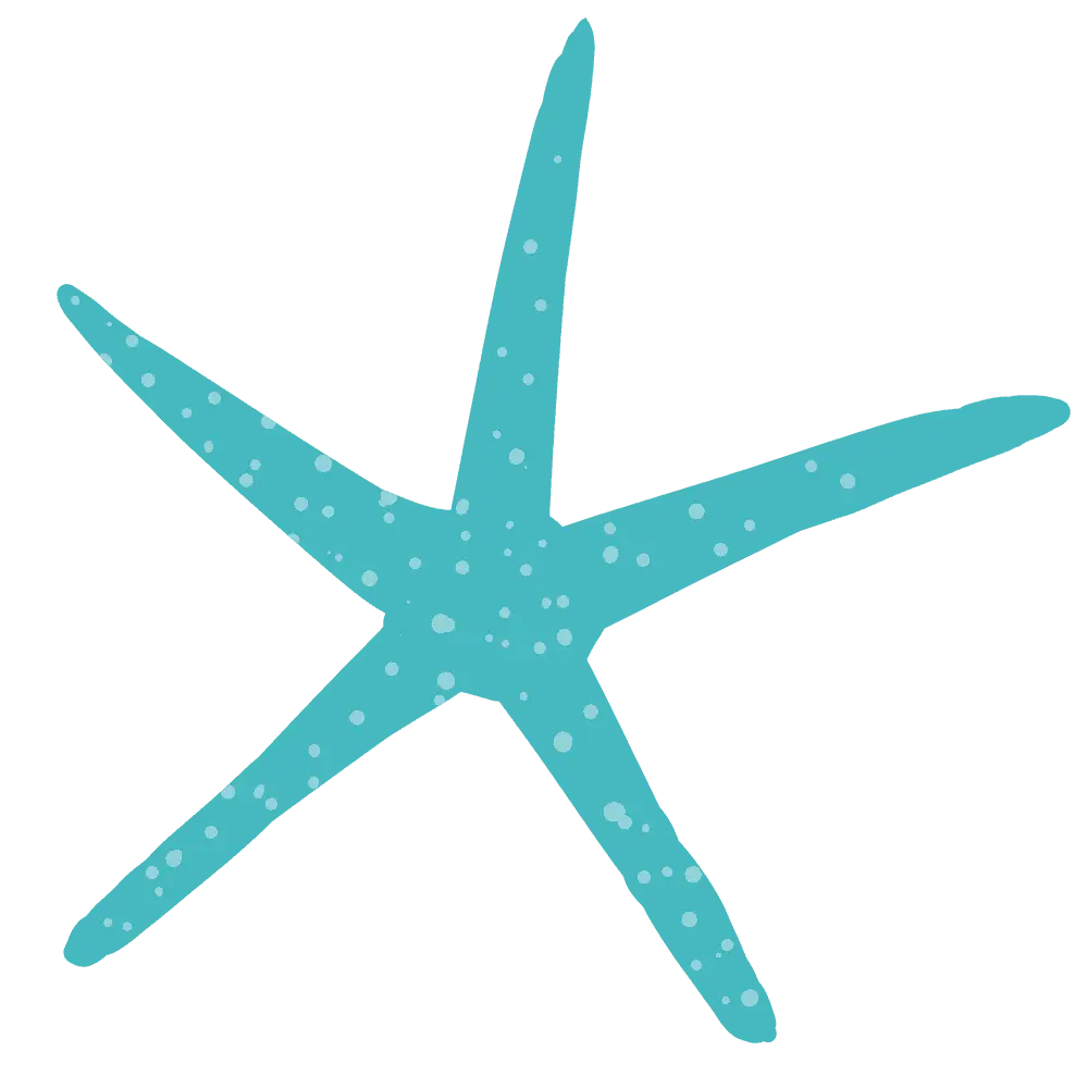Light Blue Starfish Illustration