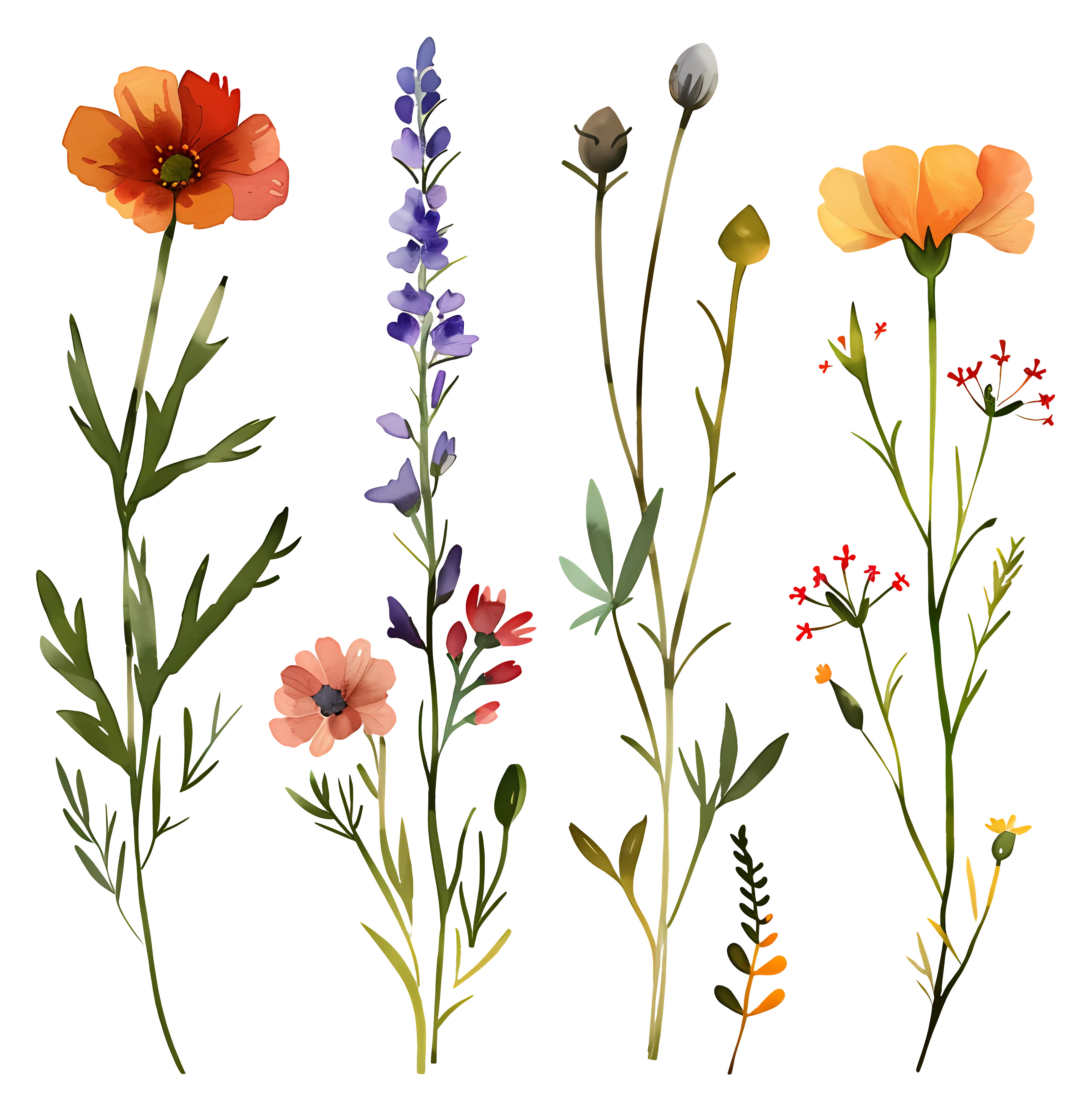 Beautiful Wild Flowers Illustration